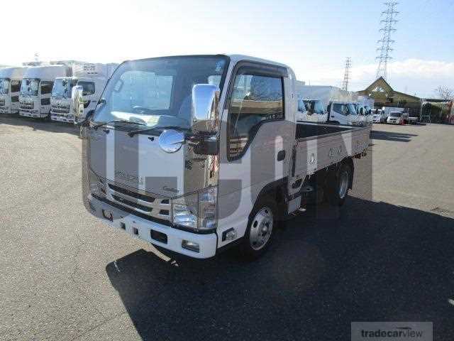 2018 Isuzu Elf Truck