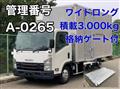 2016 Isuzu Elf Truck