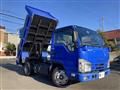 2019 Isuzu Elf Truck