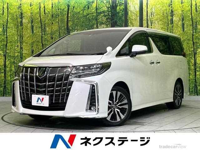 2019 Toyota Alphard G