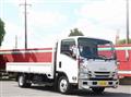 2017 Isuzu Elf Truck