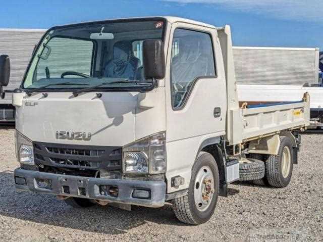 2019 Isuzu Elf Truck