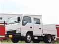 2017 Isuzu Elf Truck