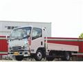 2017 Isuzu Elf Truck