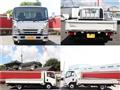 2017 Isuzu Elf Truck