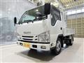 2019 Isuzu Elf Truck