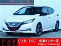 2018 Nissan Leaf