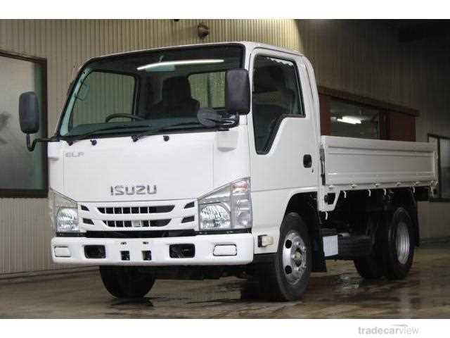 2018 Isuzu Elf Truck