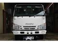 2018 Isuzu Elf Truck