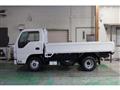 2018 Isuzu Elf Truck