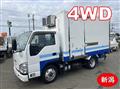 2019 Isuzu Elf Truck