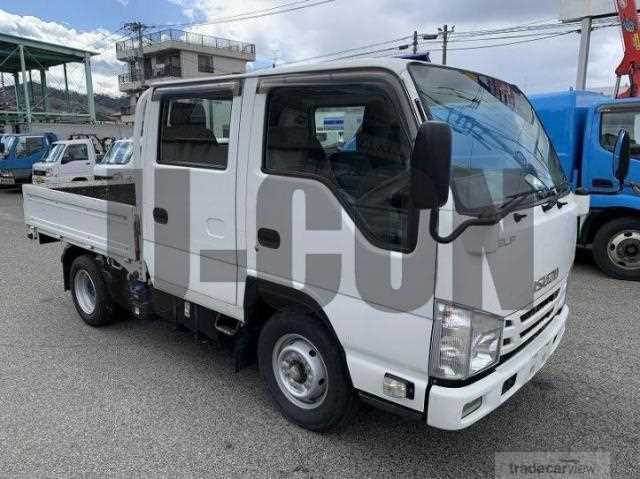 2019 Isuzu Elf Truck