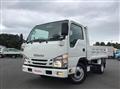 2019 Isuzu Elf Truck