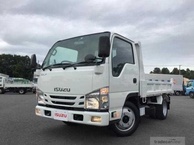 2019 Isuzu Elf Truck