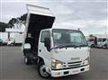 2019 Isuzu Elf Truck