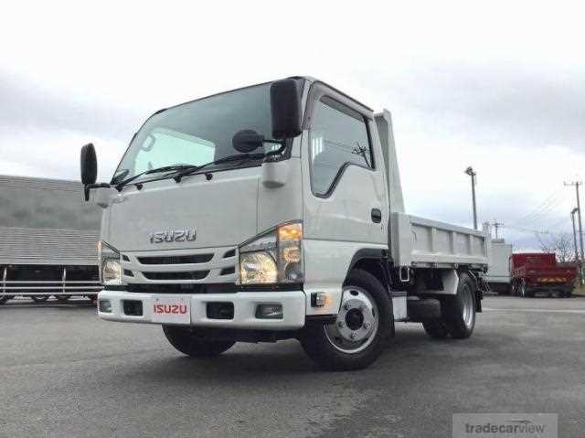 2019 Isuzu Elf Truck