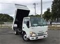 2019 Isuzu Elf Truck