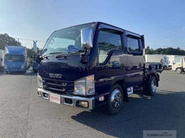 2017 Isuzu Elf Truck