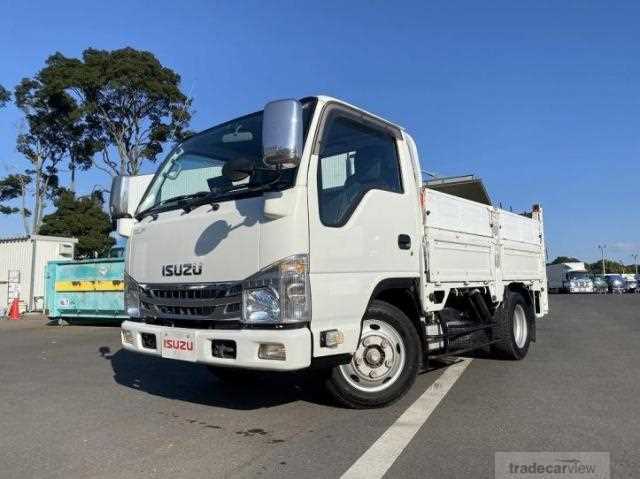 2018 Isuzu Elf Truck