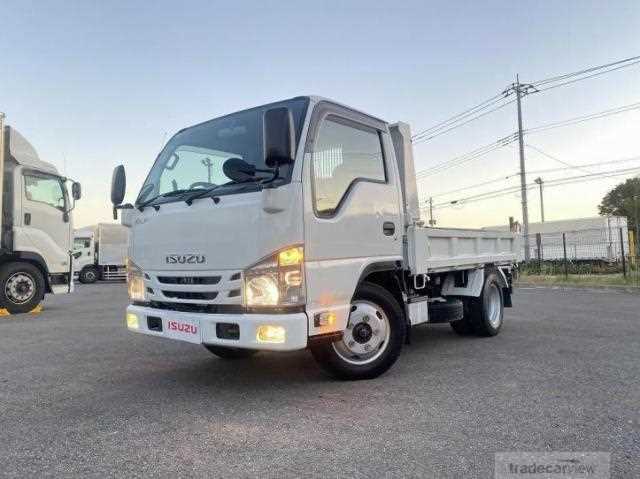 2019 Isuzu Elf Truck