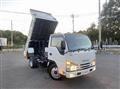 2019 Isuzu Elf Truck