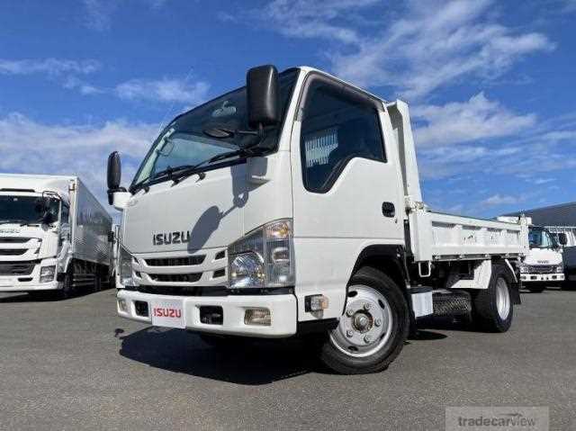 2019 Isuzu Elf Truck