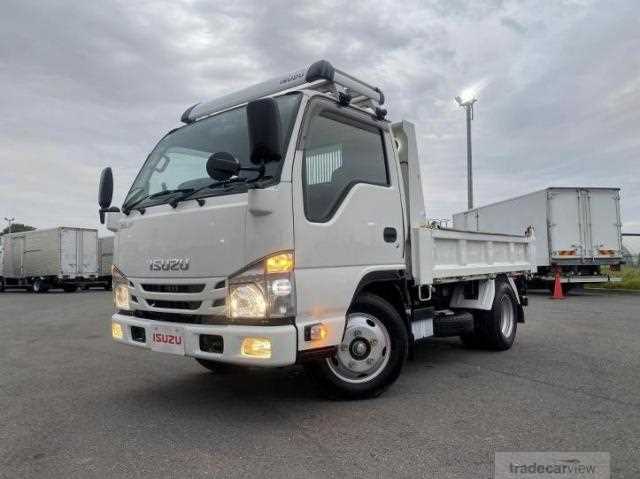 2019 Isuzu Elf Truck