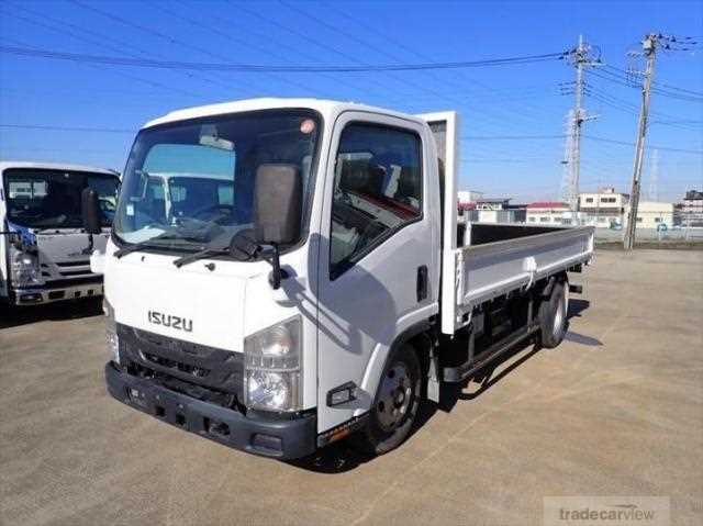 2020 Isuzu Elf Truck