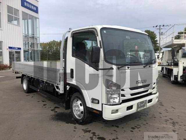 2020 Isuzu Elf Truck