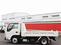 2016 Isuzu Elf Truck