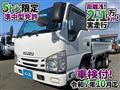 2018 Isuzu Elf Truck