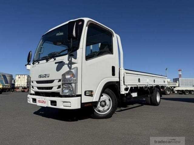 2019 Isuzu Elf Truck