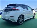 2018 Nissan Leaf