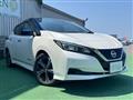 2018 Nissan Leaf