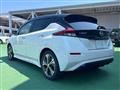 2018 Nissan Leaf