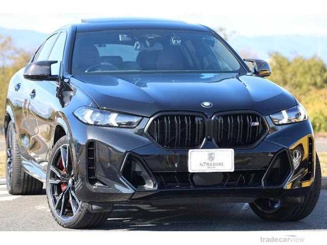 2023 BMW X6