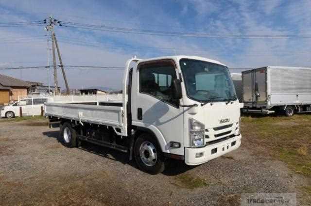 2019 Isuzu Elf Truck