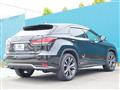 2019 Lexus RX