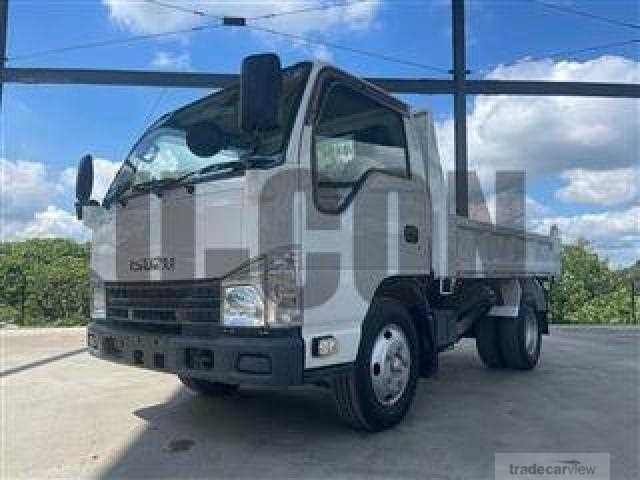 2010 Isuzu Elf Truck