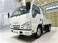 2019 Isuzu Elf Truck