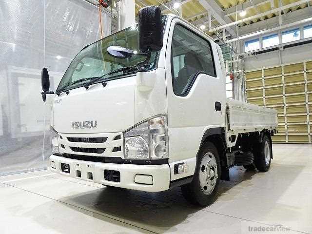 2019 Isuzu Elf Truck