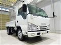 2019 Isuzu Elf Truck