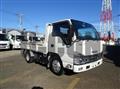 2022 Isuzu Elf Truck