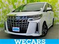 2021 Toyota Alphard G