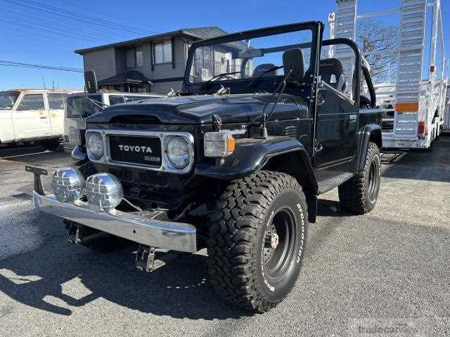 1981 Toyota Land Cruiser