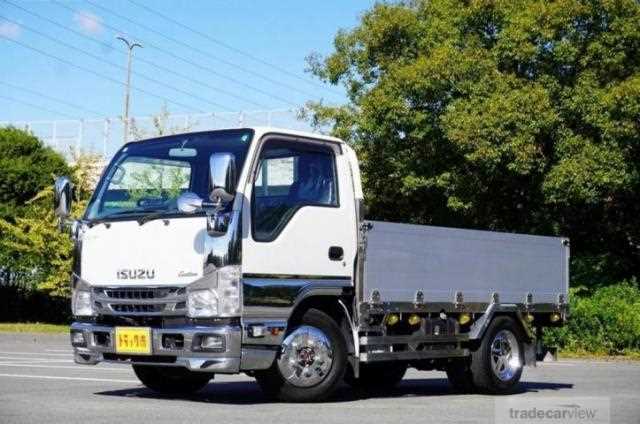 2020 Isuzu Elf Truck