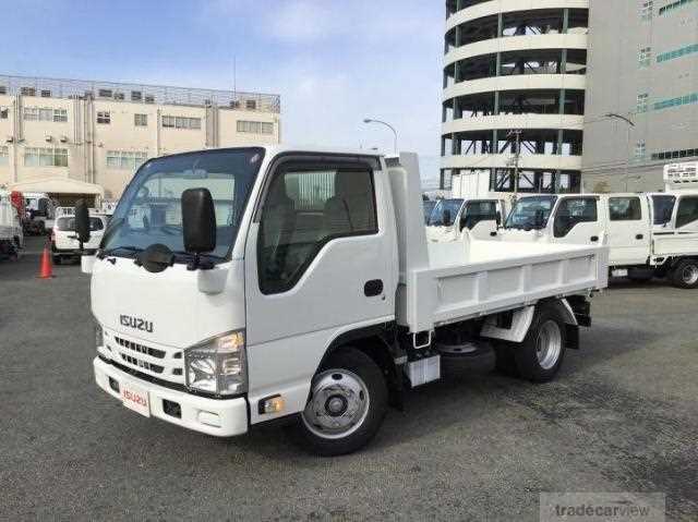 2020 Isuzu Elf Truck