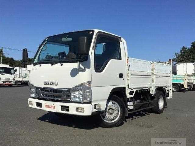 2018 Isuzu Elf Truck