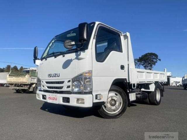 2019 Isuzu Elf Truck