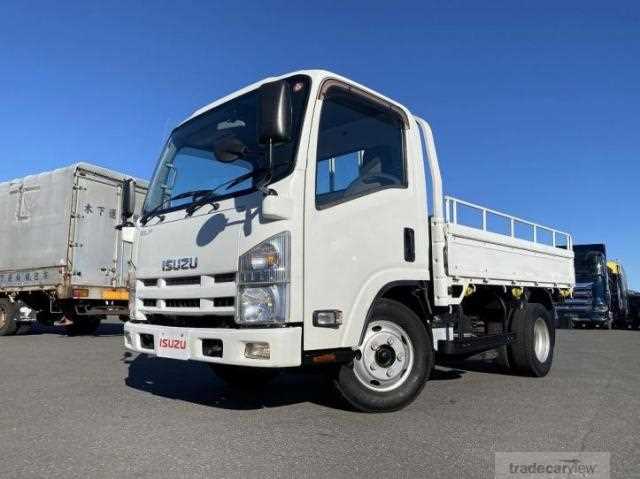 2013 Isuzu Elf Truck